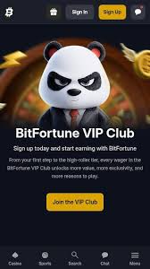 Unmissable Bitfortune Black Friday Crypto Specials