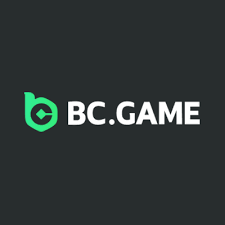Comprehensive Guide to BC.Game Support in India 956092285
