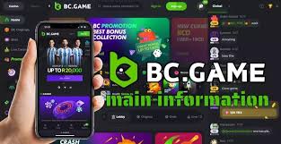 Understanding BC.Game Payment Methods 655845551 Understanding BC.Game Payment Methods 655845551