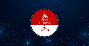 Understanding the Role of Interpol Defense Lawyers 1344648754 Understanding the Role of Interpol Defense Lawyers 1344648754