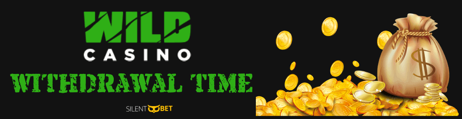 Viggoslots Casino Casino Bonus